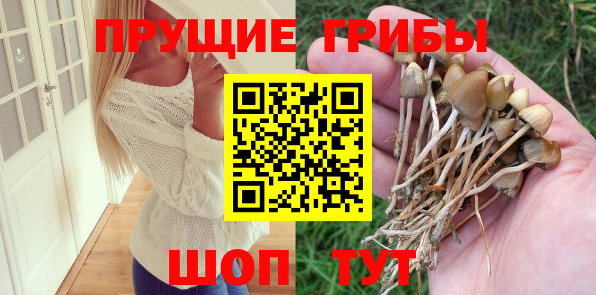 Осинники  купить наркотик  Вход с VPN  Псилоцибиновые грибы прущие грибы 